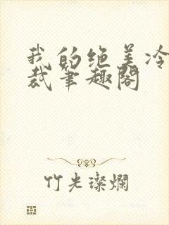 我的绝美冷艳总裁笔趣阁