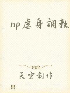 np虐身调教文