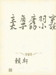 主角唐羽穿越成太子的小说