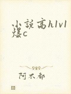 小说高h1v1爆c