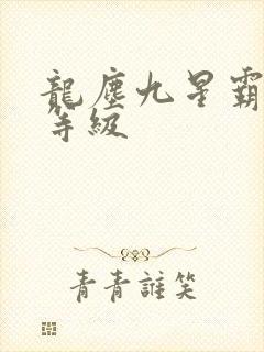 龙尘九星霸体诀等级