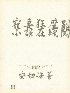 宠妻狂魔别太坏小说在线阅读