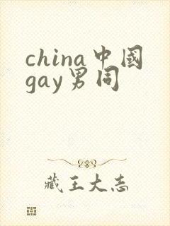 china中国gay男同