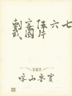 刺客伍六七只玄武国片