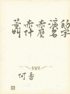 董赤赤演的短剧叫什么名字啊