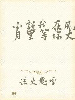 小说我在风花雪月里等你大结局封面