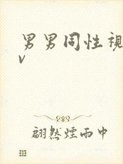 男男同性视频gv