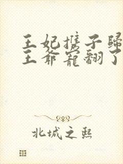 王妃携子归来,王爷宠翻了