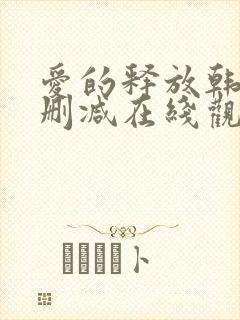 爱的释放韩国无删减在线观看