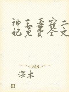 神王毒宠二嫁王妃免费全文阅读封面