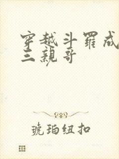 穿越斗罗成为唐三亲哥