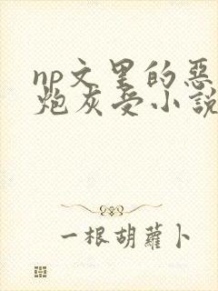 np文里的恶毒炮灰受小说结局