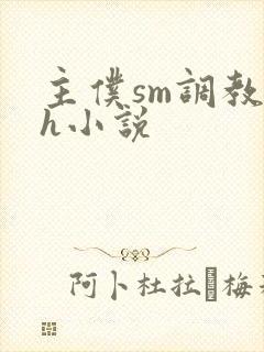 主仆sm调教高h小说