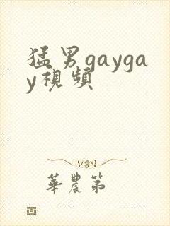猛男gaygay视频封面