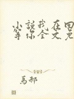 小说我在回忆里等你全文免费阅读