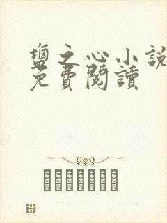 盐之心小说全文免费阅读封面