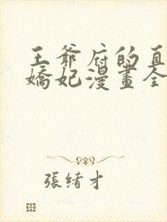 王爷府的直男小娇妃漫画全集