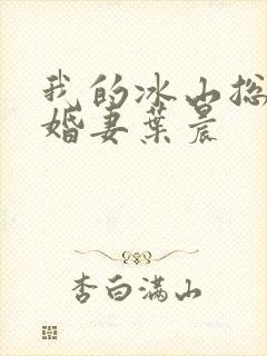 我的冰山总裁未婚妻叶晨
