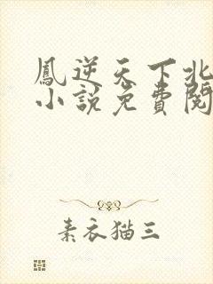 凤逆天下北月篇小说免费阅读