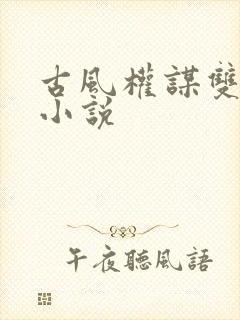 古风权谋双男主小说