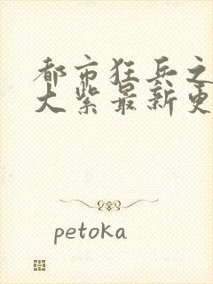 都市狂兵之大红大紫最新更新封面