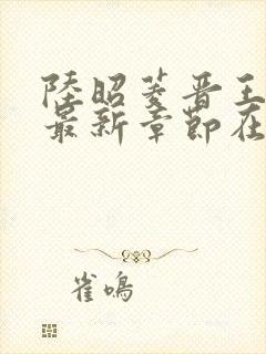 陆昭菱晋王小说最新章节在线阅读