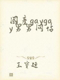 国产gaygay男男网站