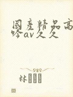 国产精品高潮呻吟av久久