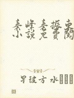 秦峰秦振东主角小说免费阅读官场小说