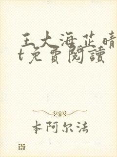 王大海芷晴txt免费阅读封面