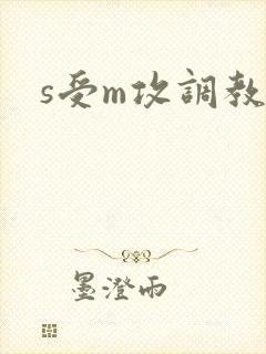 s受m攻调教