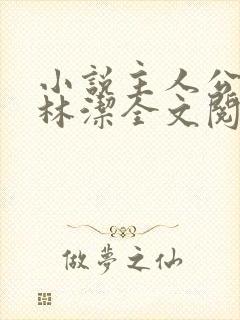 小说主人公秦齐林洁全文阅读