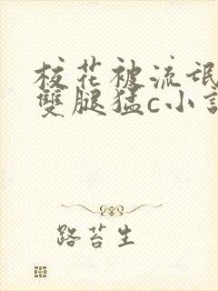 校花被流氓扒开双腿猛c小说