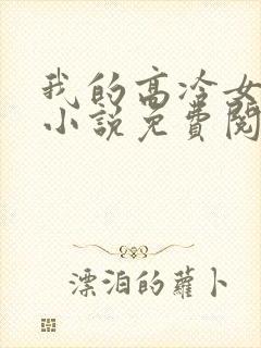 我的高冷女总裁小说免费阅读封面