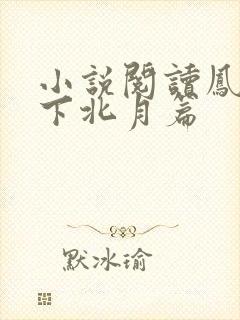 小说阅读凤逆天下北月篇