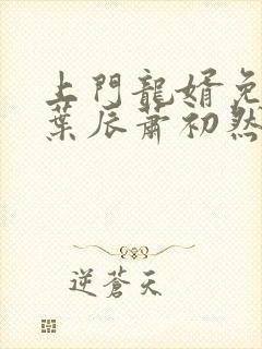 上门龙婿免全文叶辰萧初然