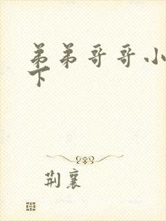 弟弟哥哥小说年下