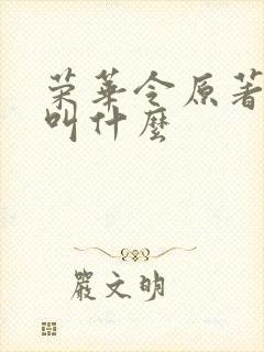 荣华令原著小说叫什么