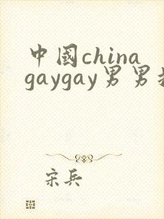 中国chinagaygay男男搜索6