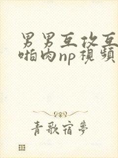 男男互攻互受h啪肉np视频