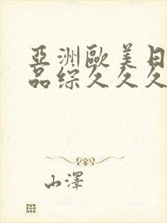 亚洲欧美日韩精品综久久久久久