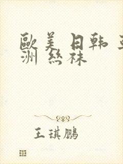 欧美 日韩 亚洲 丝袜封面