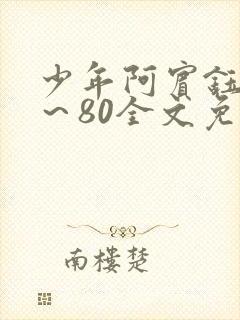 少年阿宾钰慧1～80全文免费