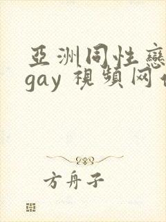 亚洲同性恋男 gay 视频网站