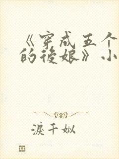《穿成五个反派的后娘》小说