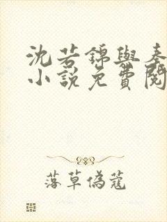 沈若锦与秦琅的小说免费阅读封面