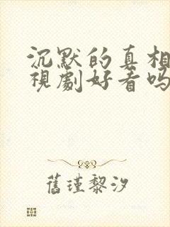 沉默的真相 电视剧好看吗