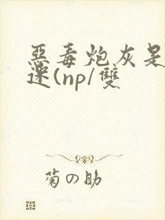 恶毒炮灰是万人迷(np/双封面