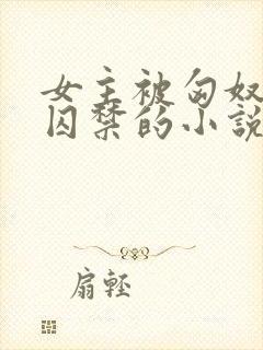 女主被匈奴男主囚禁的小说