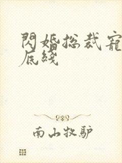 闪婚总裁宠妻无底线